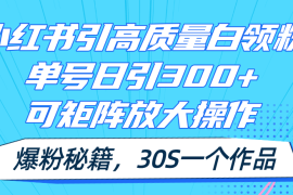 （11692期）小红书引高质量白领粉，单号日引300 ，可放大操作，爆粉秘籍！30s一个作品