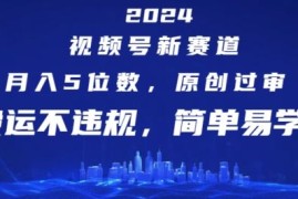 2024视频号新赛道，月入5位数 ，原创过审，搬运不违规，简单易学【揭秘】