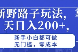 最新野路子玩法，靠聊天日入200 ，新手小白都可做，无门槛，零成本