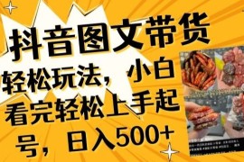 抖音图文带货已过时?那你不如仔细看看这个，小白看完轻松上手起号，日入500 不是梦【揭秘】