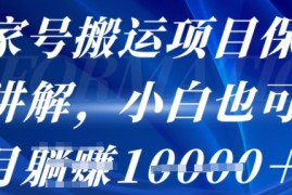 百家号搬运项目保姆级讲解，操作简单，小白也可以月入1w 