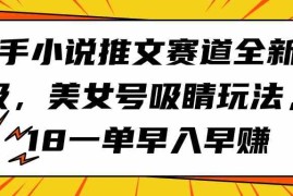 （9776期）快手小说推文赛道全新升级，美女号吸睛玩法，18一单早入早赚