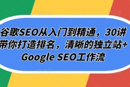 谷歌SEO从入门到精通，30讲带你打造排名，清晰的独立站 Google SEO工作流