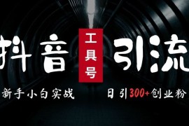 2024最新抖音工具号引流玩法，高效日引300 创业粉，当天变现5k，小白也可成为实战高手