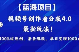 （9777期）2024蓝海项目视频号，最新方法， 100%过原创，条条爆款，单日变现1K ，…