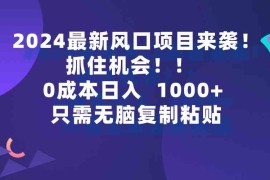 （9899期）2024最新风口项目来袭，抓住机会，0成本一部手机日入1000 ，只需无脑复…