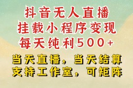抖音无人挂机项目，轻松日入500 ,挂载小程序玩法，不违规不封号，有号的一定挂起来