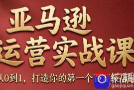 skyla·亚马逊运营实战课(更新7月)