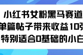 小红书女粉黑马赛道单篇帖子带来收益10张特别适合0基础的小白