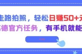 走路拍照，轻松日入50 !高德官方任务，有手机就能干