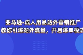 （11398期）亚马逊-成人用品 站外营销推广 教你引爆站外流量，开启爆单模式