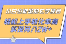 小白也能做的玄学项目，轻松上手转化率高，实现月入2W 