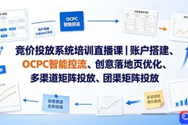 竞价投放系统培训直播课｜账户搭建、OCPC智能控流、创意落地页优化、多渠道矩阵投放、团队管理与副业变现全阶实战(更新0709)
