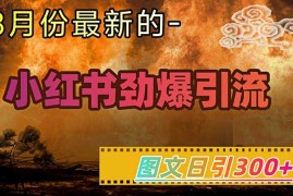 小红书超劲爆引流手段，图文日引300 轻松变现1W