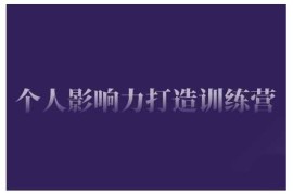 个人影响力打造训练营，掌握公域引流、私域运营、产品定位等核心技能，实现从0到1的个人IP蜕变