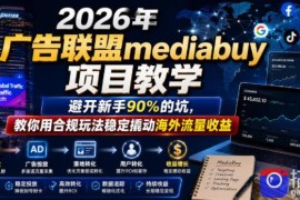 2026年老董賺美刀广告联盟mediabuy项目教学，避开新手90%的坑，教你用合规玩法稳定撬动海外流量收益