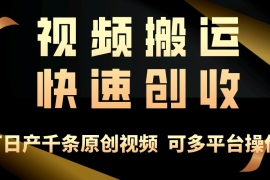 （10417期）一步一步教你赚大钱！仅视频搬运，月入3万 ，轻松上手，打通思维，处处…