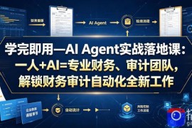 学完即用—AI Agent实战落地课：一人 AI=专业财务、审计团队，解锁财务审计自动化全新工作模式