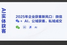 AI实体获客，2025年企业获客新风口：微信  AI，公域获客，私域成交