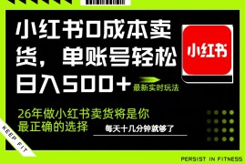 小红书0成本AI卖货，单账号轻松日入500 ，完全托管AI，可矩阵放大