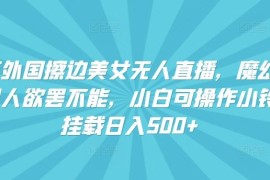 快手外国擦边美女无人直播，魔幻声音男人欲罢不能，小白可操作小铃铛挂载日入500 【揭秘】