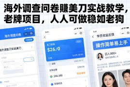 海外调查问卷賺美刀实战教学，老牌项目，人人可做稳如老狗