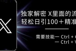 独家解密 X 里面的流量密码，复制粘贴轻松日引100 