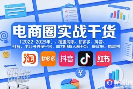 电商圈实战干货(2023-2026年)，覆盖淘系、拼多多、抖音、小红书等多平台，助力电商人避开坑、提效率、稳盈利(更新06月18日)