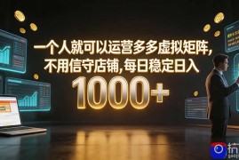 一个人就可以运营多多虚拟矩阵，不用值守店铺，每日稳定日入 1000 