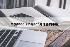 华为8600（华为865处理器的平板）