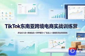 TikTok东南亚跨境电商实战训练营：多站点入驻 数据选品 ERP铺货 广告达人 直播发货全流程落地