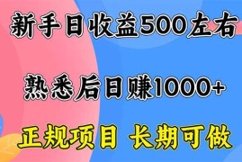 （16132期）新手日收益500  正规项目 长期可做