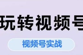 玩转视频号，视频号实战系列课