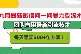 （12735期）九月最新微信问一问暴力引流术，团队自用引流术，每天稳定300 创…