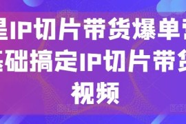 明星IP切片带货爆单营，0基础搞定IP切片带货短视频