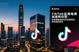 TikTok出海电商加速特训营：快速掌握海外市场运营规则，实现高效变现