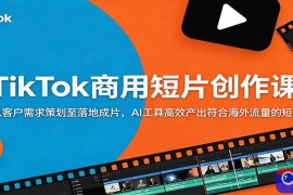 TikTok商用短片创作课：从客户需求策划至落地成片，AI工具高效产出符合海外流量的短片
