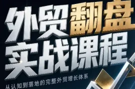 Alisa老师·外贸翻盘实战课程(更新部分)