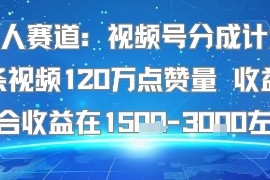 懒人赛道：视频号分成计划单条视频120W点赞量 收益高综合收益在1.5K左右