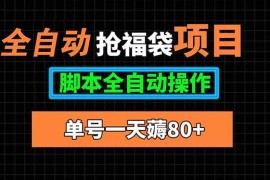 （15697期）全自动抢福袋项目，单号一天80 脚本全自动操作