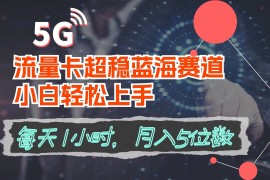 流量卡超稳蓝海赛道，小白轻松上手，每天1小时，月入5位数
