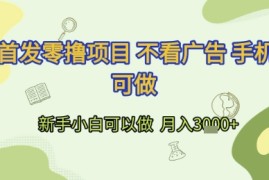 首发零撸项目 不看广告 手机可做 新手小白可以做 月入3k 【揭秘】