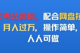 卖考公资料，配合网盘拉新，月入过W，操作简单，人人可做
