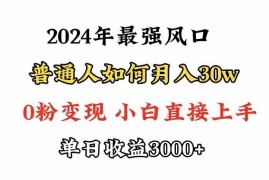 （9630期）小游戏直播最强风口，小游戏直播月入30w，0粉变现，最适合小白做的项目