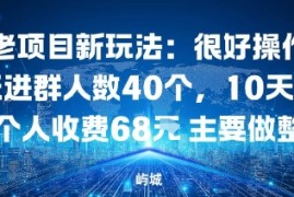 老项目新玩法：很好操作当天进群人数40个，10天满人每个人收费68米 主要做整合