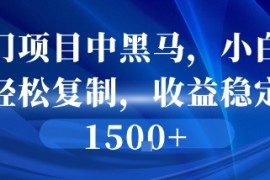 冷门项目中黑马，小白可轻松复制，收益稳定1.5k