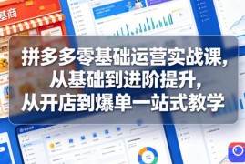 拼多多零基础运营实战课，从基础到进阶提升，从开店到爆单一站式教学