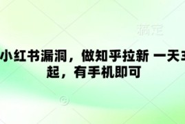 卡小红书漏洞，做知乎拉新 一天3张起，有手机即可