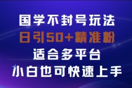 国学赛道不封号玩法，日引50 精准粉适合多平台，小白也可快速上手