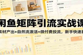 闲鱼矩阵引流实战课：AI素材产出 自然流激活 微付费投流，新手快速获客